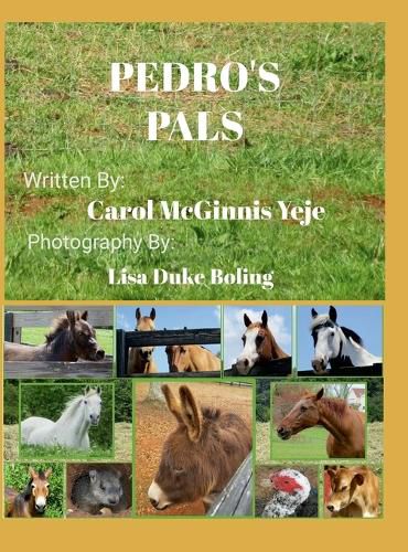 Cover image for Pedro's Pals