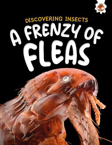 Cover image for Discovering Insects: A Frenzy of Fleas