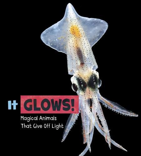 Cover image for It Glows!: Magical Animals That Give Off Light