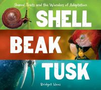 Cover image for Shell, Beak, Tusk: Shared Traits and the Wonders of Adaptation
