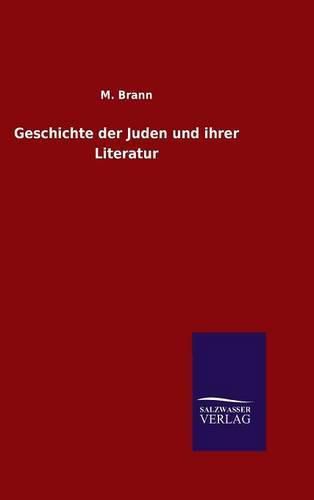 Cover image for Geschichte der Juden und ihrer Literatur