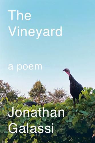 Cover image for The Vineyard