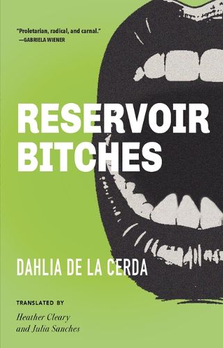 Cover image for Reservoir Bitches