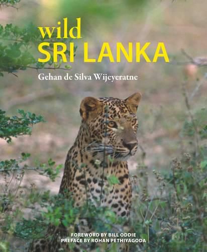 Cover image for Wild Sri Lanka