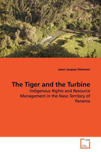 Cover image for The Tiger and the Turbine