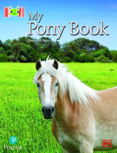 Cover image for Bug Club Reading Corner: Age 4-7: My Pony Book