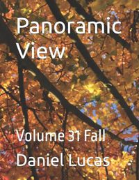 Cover image for Panoramic View