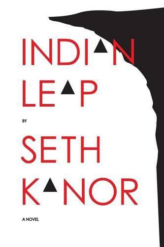 Cover image for Indian Leap