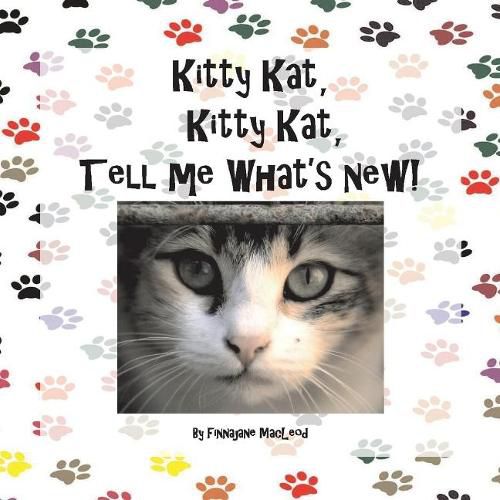 Kitty Kat, Kitty Kat, Tell Me What's New!