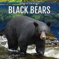 Cover image for Black Bears