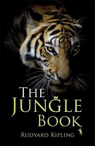 Cover image for Rollercoasters: The Jungle Book