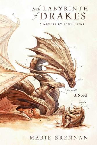Cover image for In the Labyrinth of Drakes: A Memoir by Lady Trent