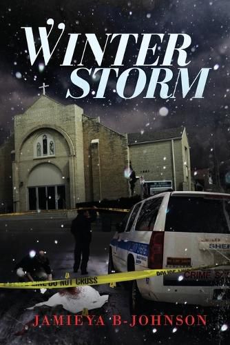 Cover image for Winter Storm