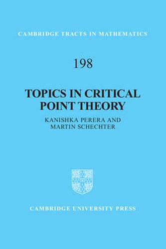 Cover image for Topics in Critical Point Theory