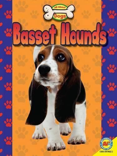 Cover image for Basset Hounds