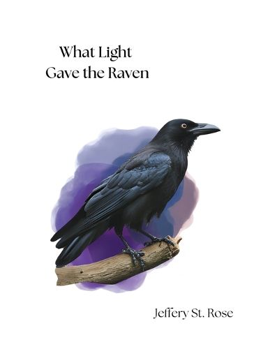 Cover image for What Light Gave the Raven