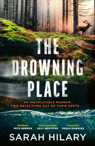 Cover image for The Drowning Place