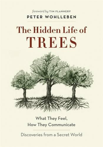 Cover image for The Hidden Life of Trees