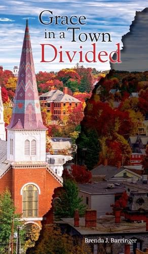 Cover image for Grace in a Town Divided