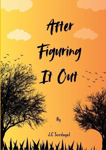 Cover image for After Figuring It Out