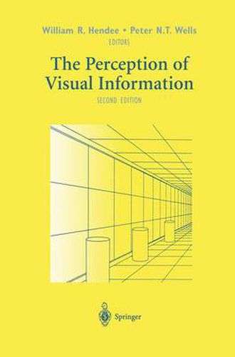 Cover image for The Perception of Visual Information