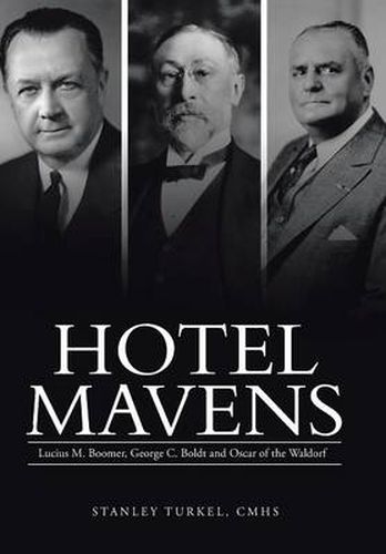 Cover image for Hotel Mavens