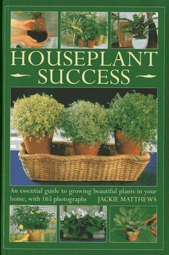 Cover image for Houseplant Success