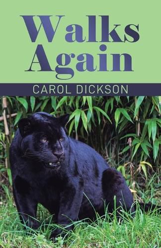 Cover image for Walks Again
