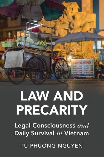 Cover image for Law and Precarity