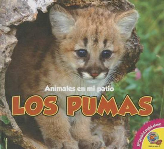 Cover image for Los Pumas