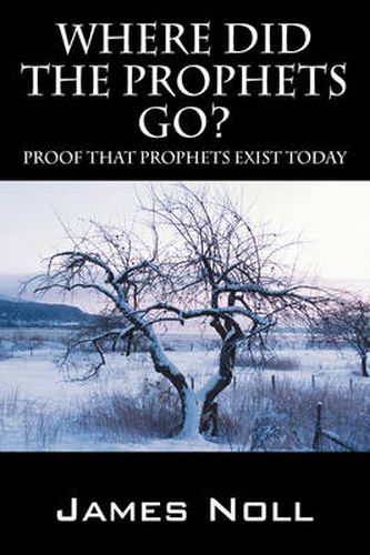 Cover image for Where Did The Prophets Go?: Proof That Prophets Exist Today