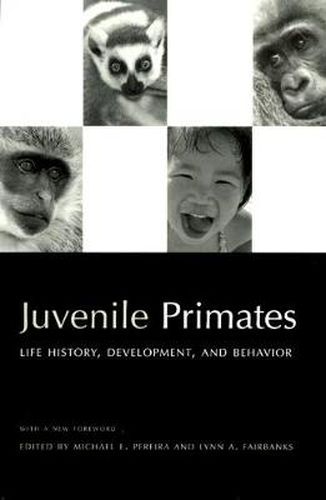 Cover image for Juvenile Primates: Life History, Development and Behavior