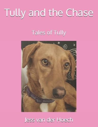 Cover image for Tully and the Chase