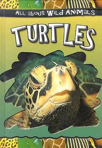 Cover image for Turtles