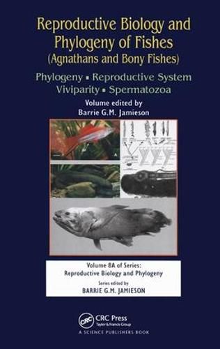 Cover image for Reproductive Biology and Phylogeny of Fishes (Agnathans and Bony Fishes): Phylogeny, Reproductive System, Viviparity, Spermatozoa