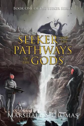 Cover image for Seeker and the Pathways of the Gods