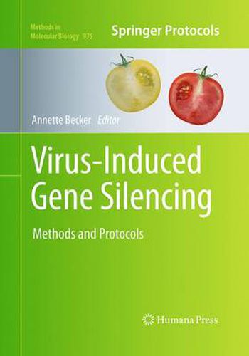 Cover image for Virus-Induced Gene Silencing: Methods and Protocols