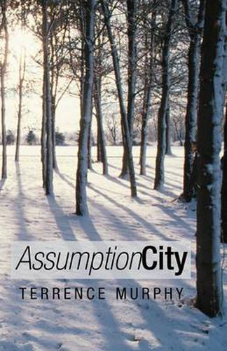 Cover image for Assumption City