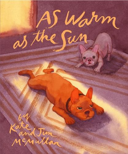 Cover image for As Warm As the Sun