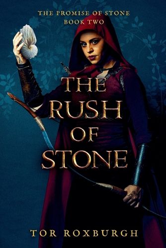 Cover image for The Rush of Stone