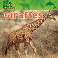 Cover image for Giraffes