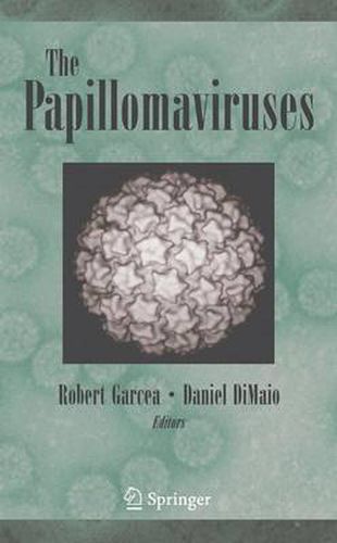 Cover image for The Papillomaviruses