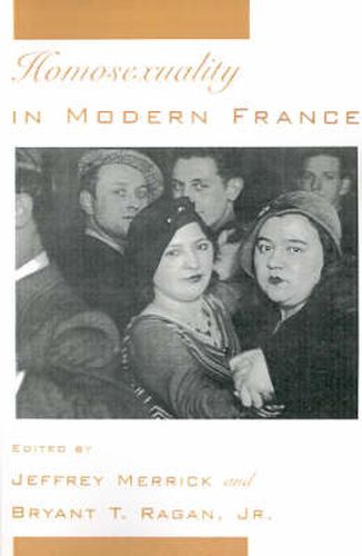 Cover image for Homosexuality in Modern France