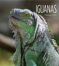 Cover image for Iguanas