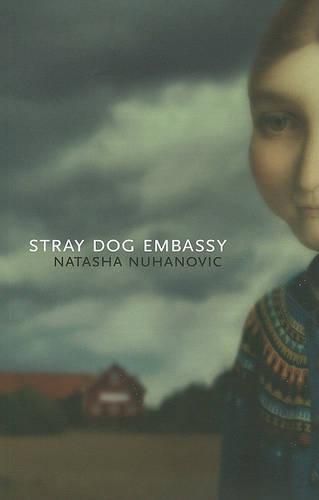 Cover image for Stray Dog Embassy