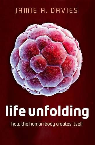 Cover image for Life Unfolding: How the human body creates itself