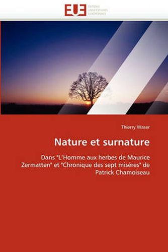 Cover image for Nature Et Surnature