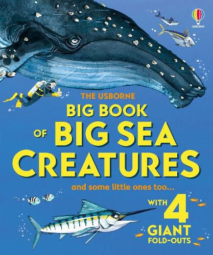 Cover image for Big Book of Big Sea Creatures