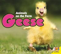 Cover image for Geese