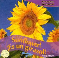 Cover image for It's a Sunflower! / !Es Un Girasol!